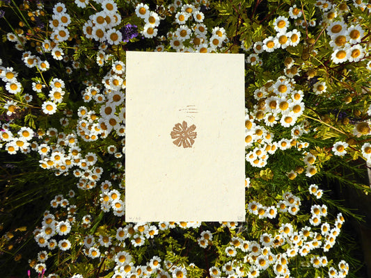 'Feverfew' A6 Linocut Print