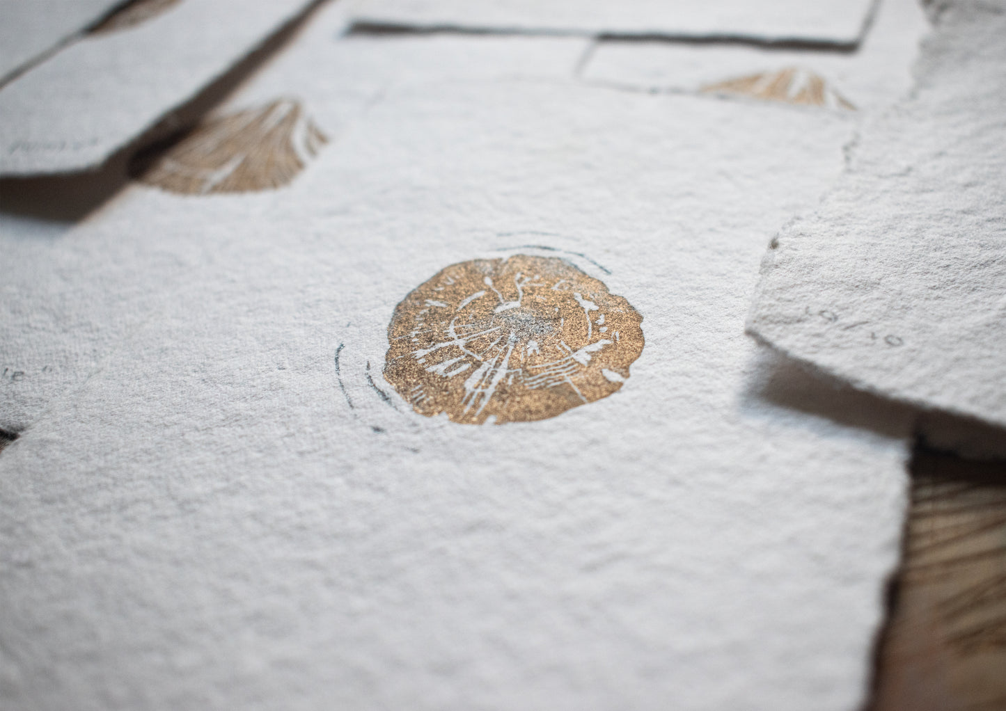 'Limpet' A6 Linocut Print